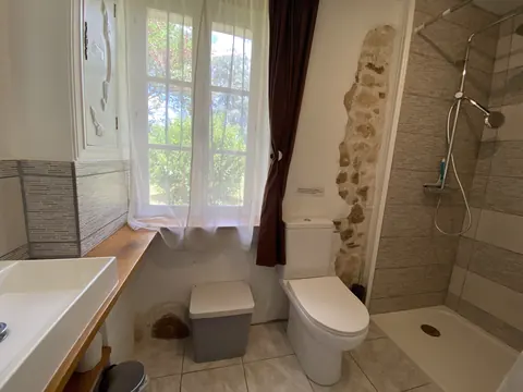 Annex en-suite bathroom