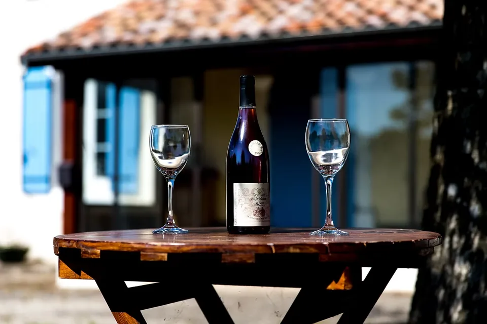 Wine tasting atmosphere in Lot-et-Garonne