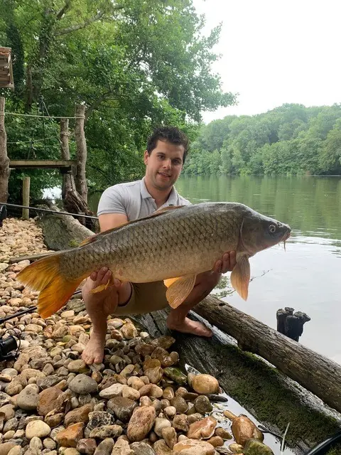 Carp caught at Lasclottes (2023)