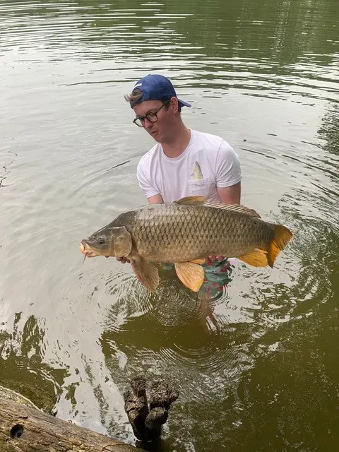 Carp caught at Lasclottes (2023)