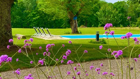 Pool through the garden flowers