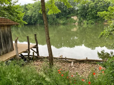 River pontoon with wild poppies