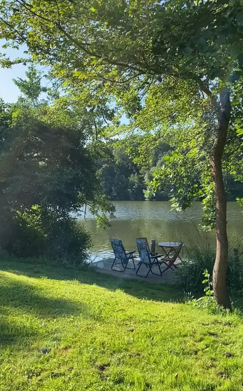 Riverside seating through the trees