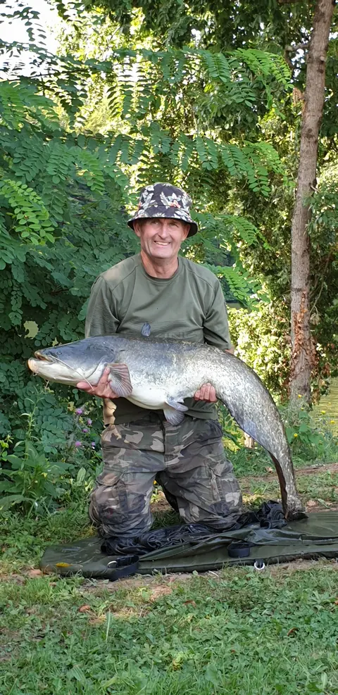 39lb Catfish caught at Lasclottes