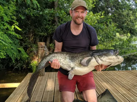 60lb Catfish caught at Lasclottes