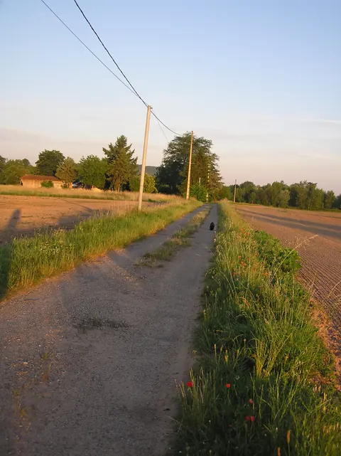 Driveway approach