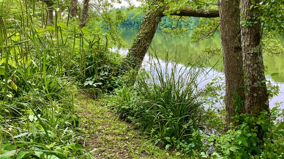 The river at the bottom of the garden at Lasclottes